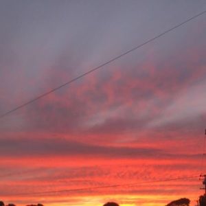 Meet your Posher, Tania